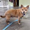 Rusty 2025 - Photo 1