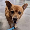 Rusty 2025 - Photo 2