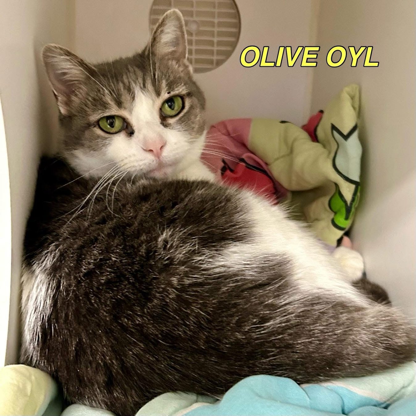 Olive Oyl
