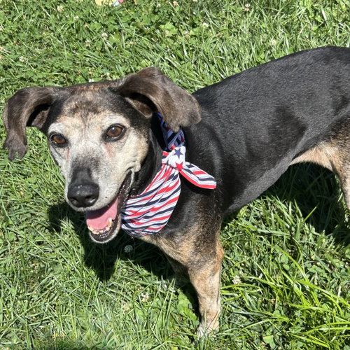 Lizzie 2026, photo 2