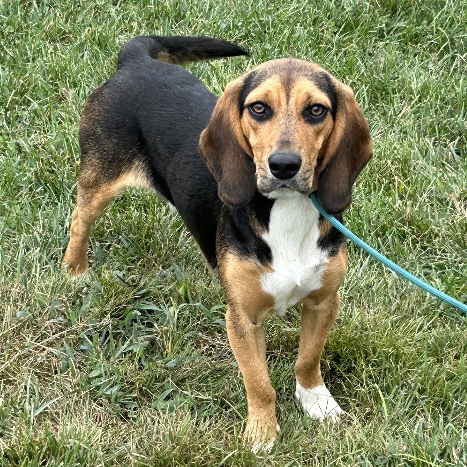 Jagger 2026, photo 3