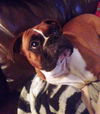 JayCee