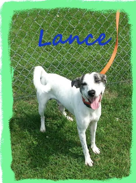 Lance