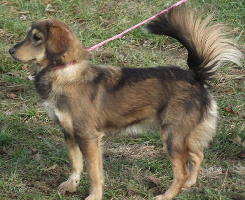 LadyBelle