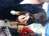 Jennifer pups-male