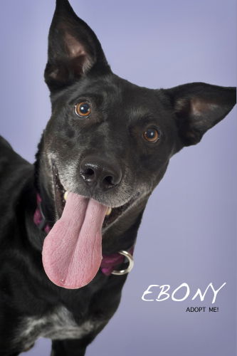 Ebony