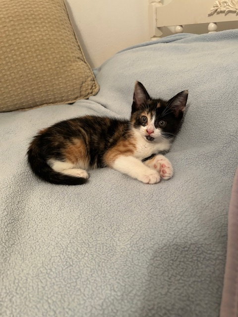 Maggie