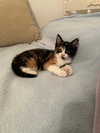 Maggie - Photo 1