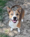Enzo - Photo 1