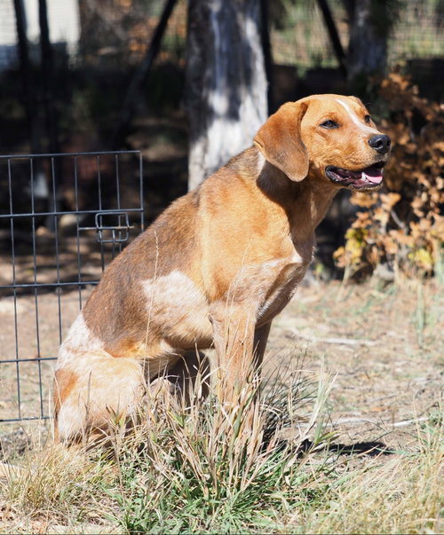 Photo of Bourbon