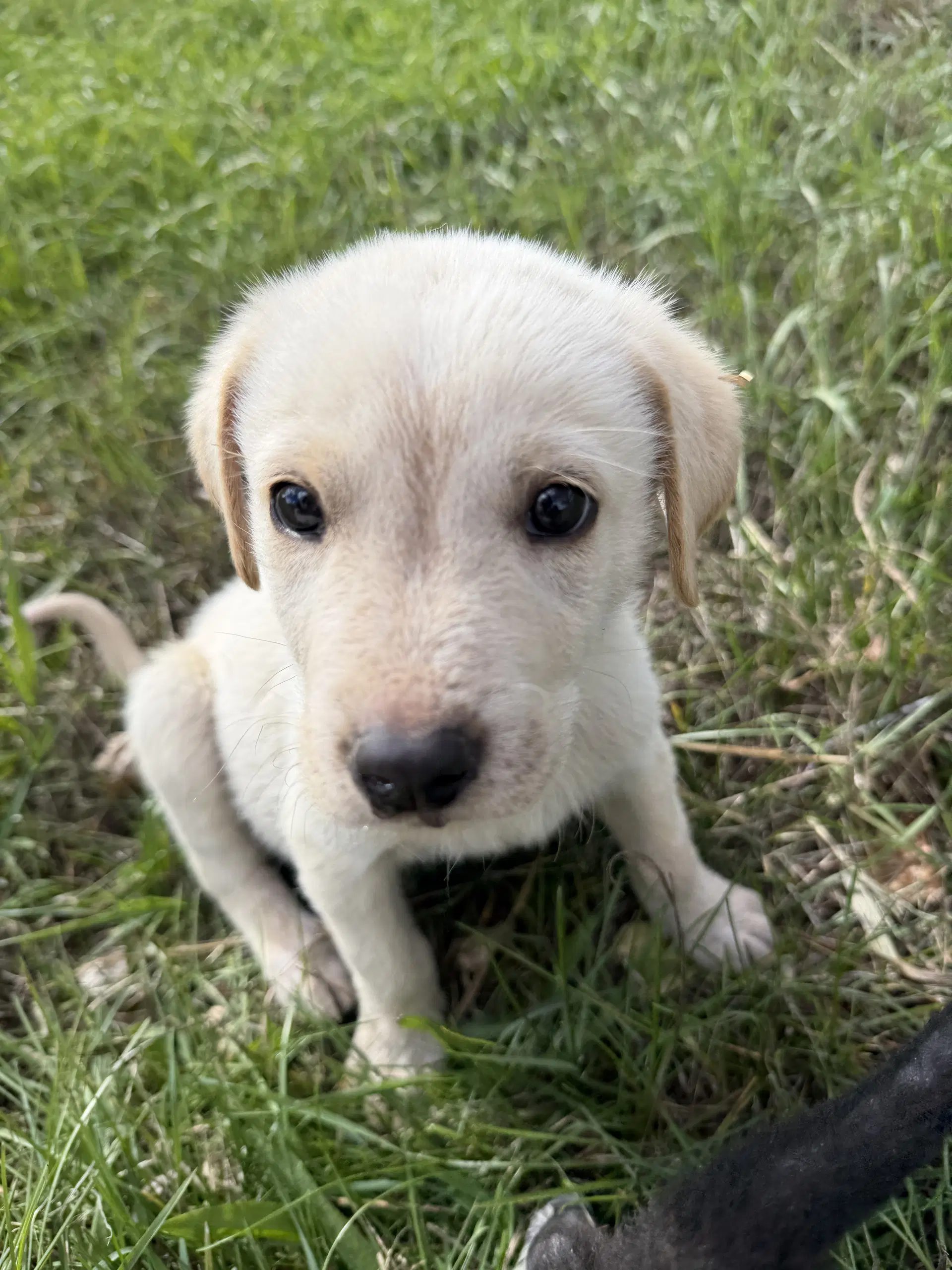 Sasha image 2