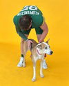 adoptable Dog in waco, TX named BABBETTE