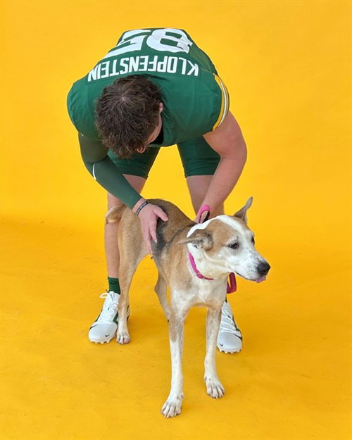 BABBETTE - Black Mouth Cur / Australian Cattle Dog/Blue Heeler available for adoption
