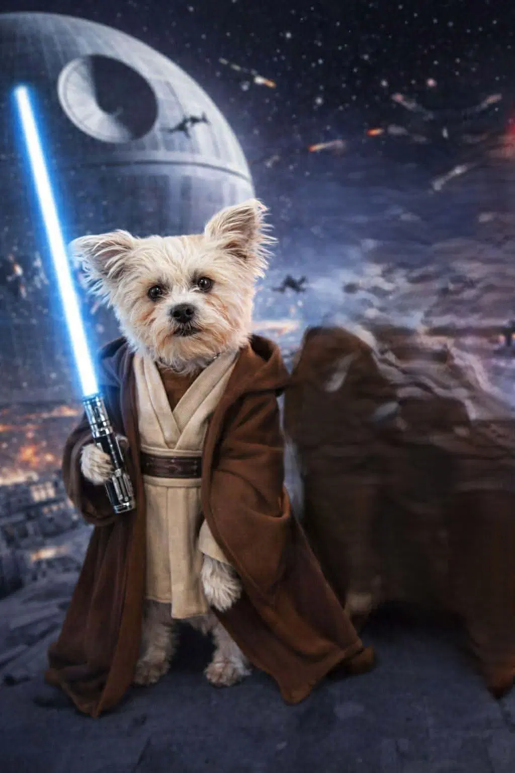 Yoda image 3