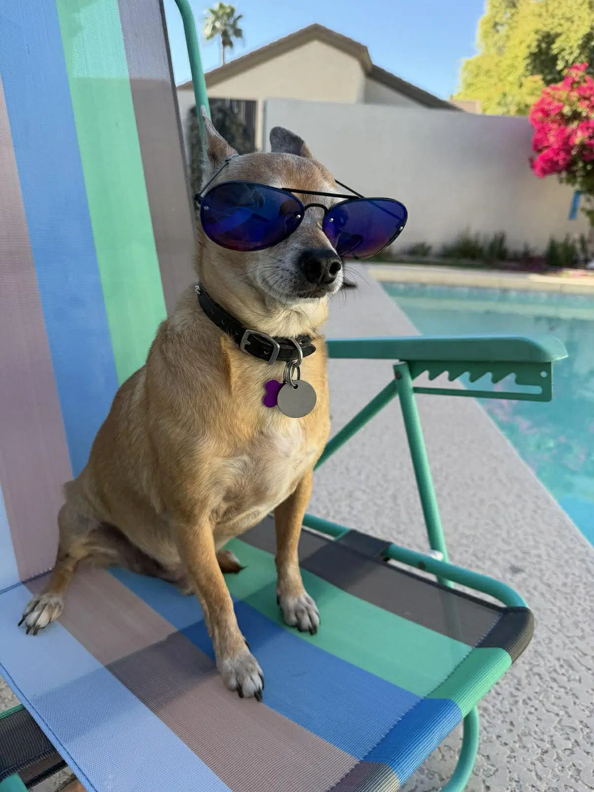 Coco image 2