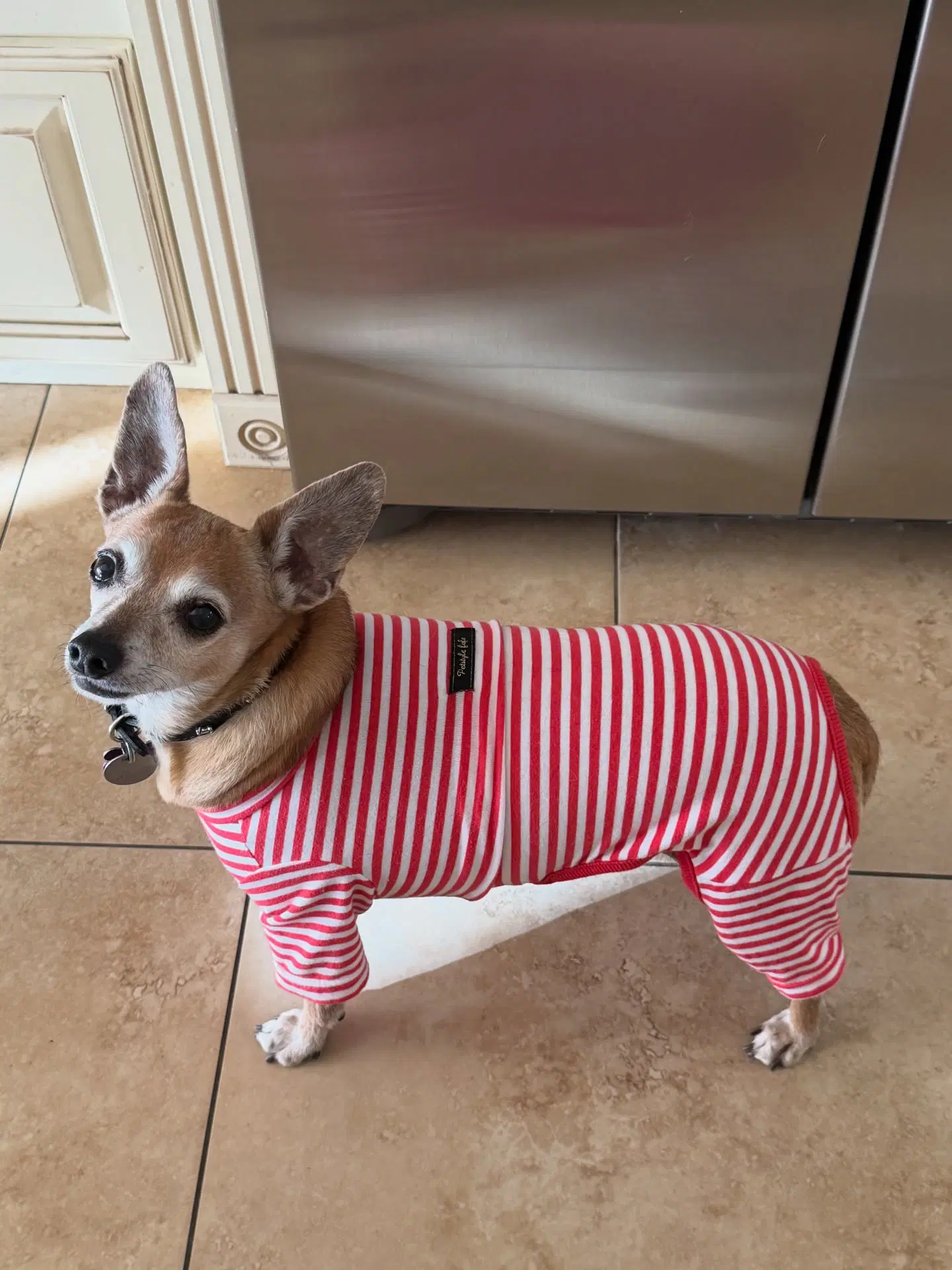 Coco image 3