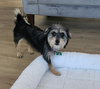 Tabitha - Photo 5