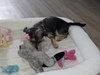 Tabitha - Photo 6