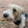 Jilly - Photo 3