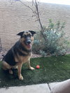 Otis - Photo 1