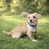 Freddie - Photo 3