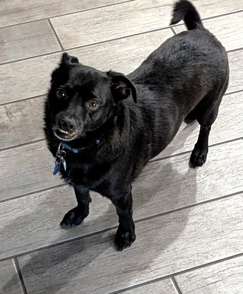 Buddy photo 3