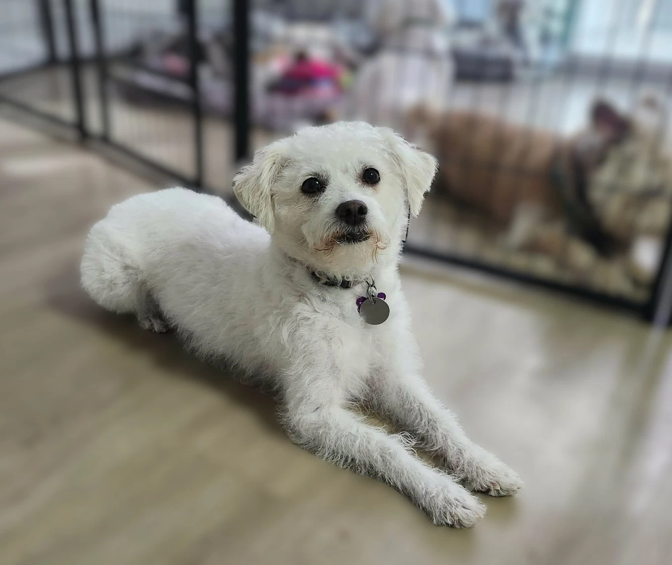 Sadie  Luna