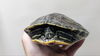 adoptable Turtle in , ON named Crush