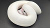 adoptable Snake in , ON named White Shadow