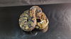 adoptable Snake in , ON named Isabella