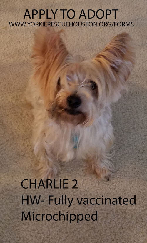 Charlie2