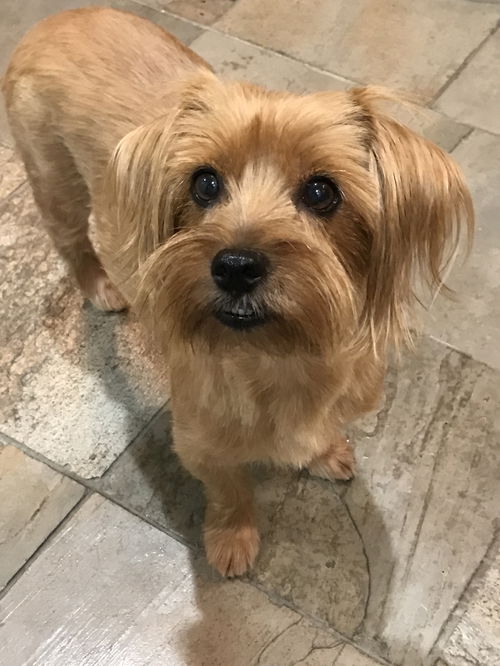 Copper