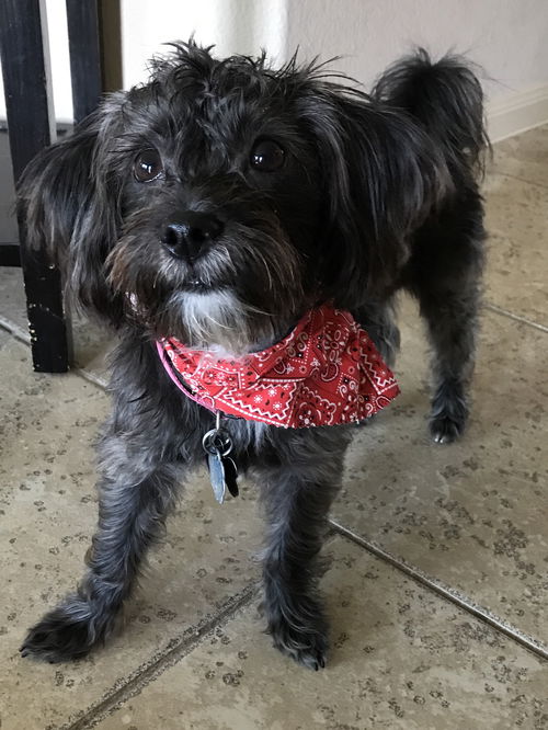 Ruby