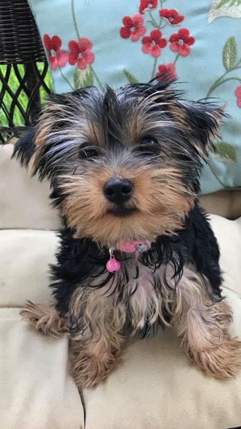 Coco2