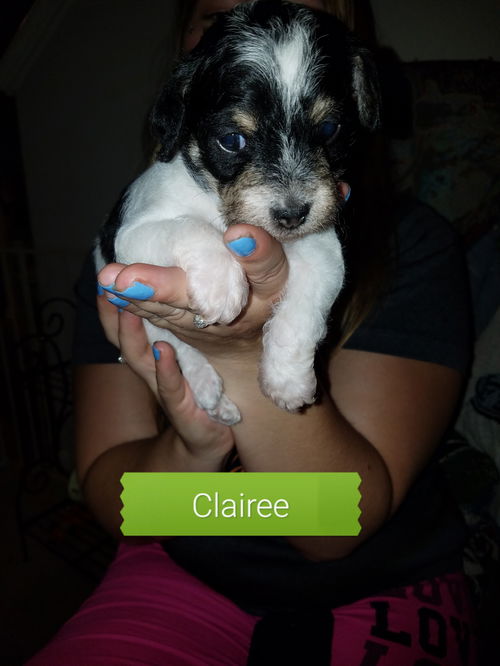 Clairee