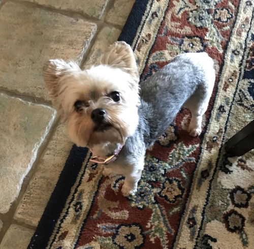 Coco3