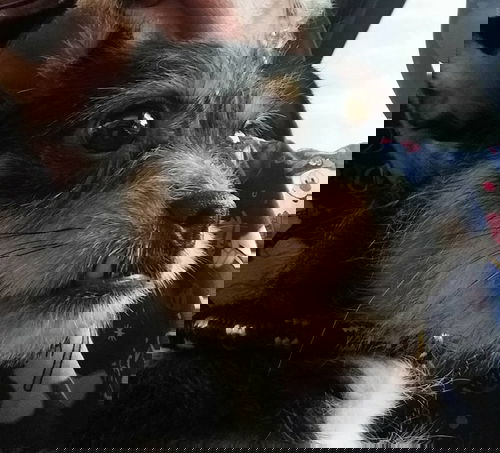 Bitsy2