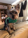 Corky2