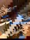 Loki2