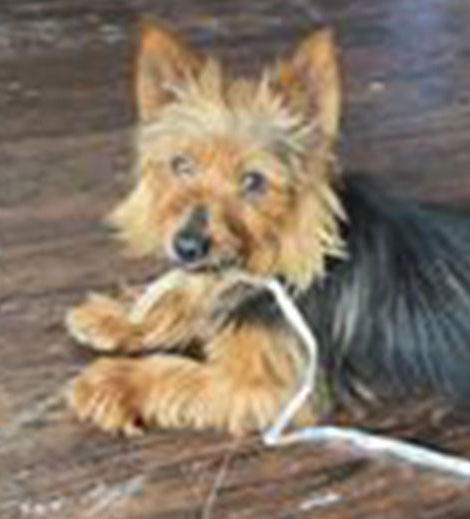 Roxy2
