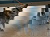 Daisy(10)