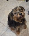 Annie
