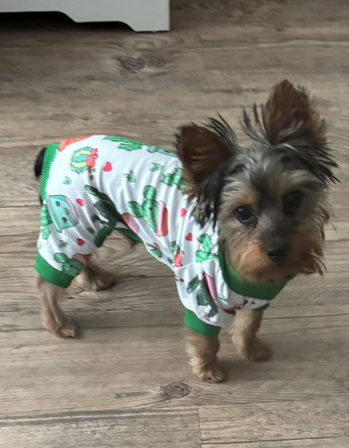Loki3