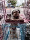 Baxter