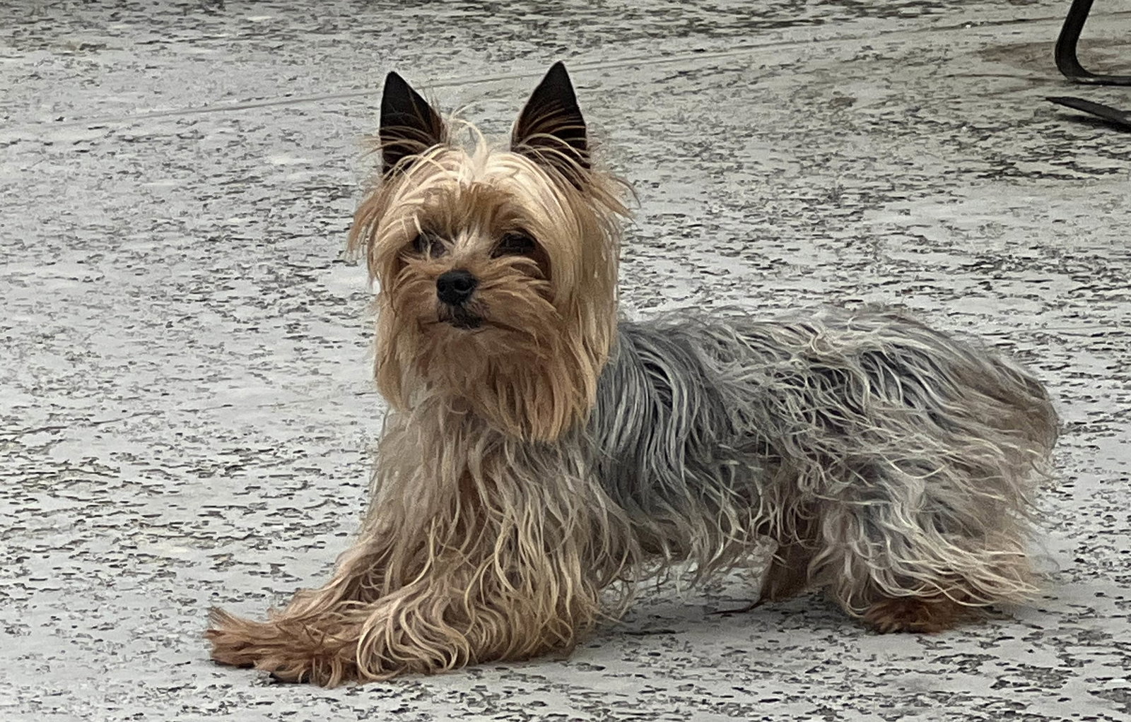 Max(10)