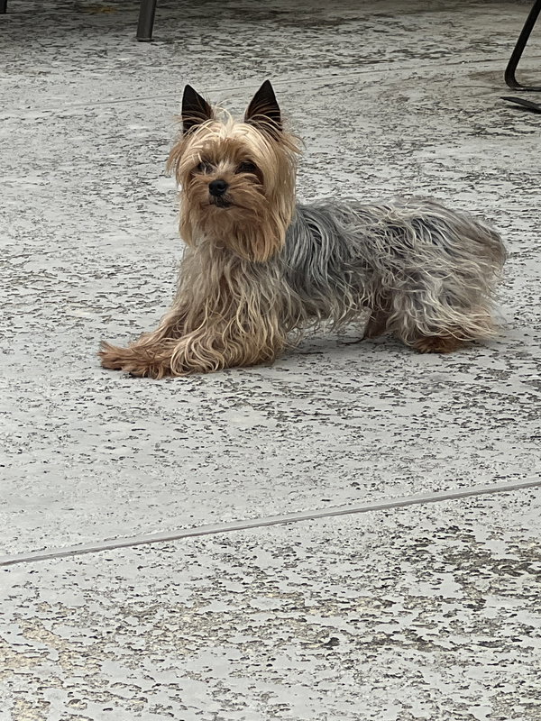 Max(10)