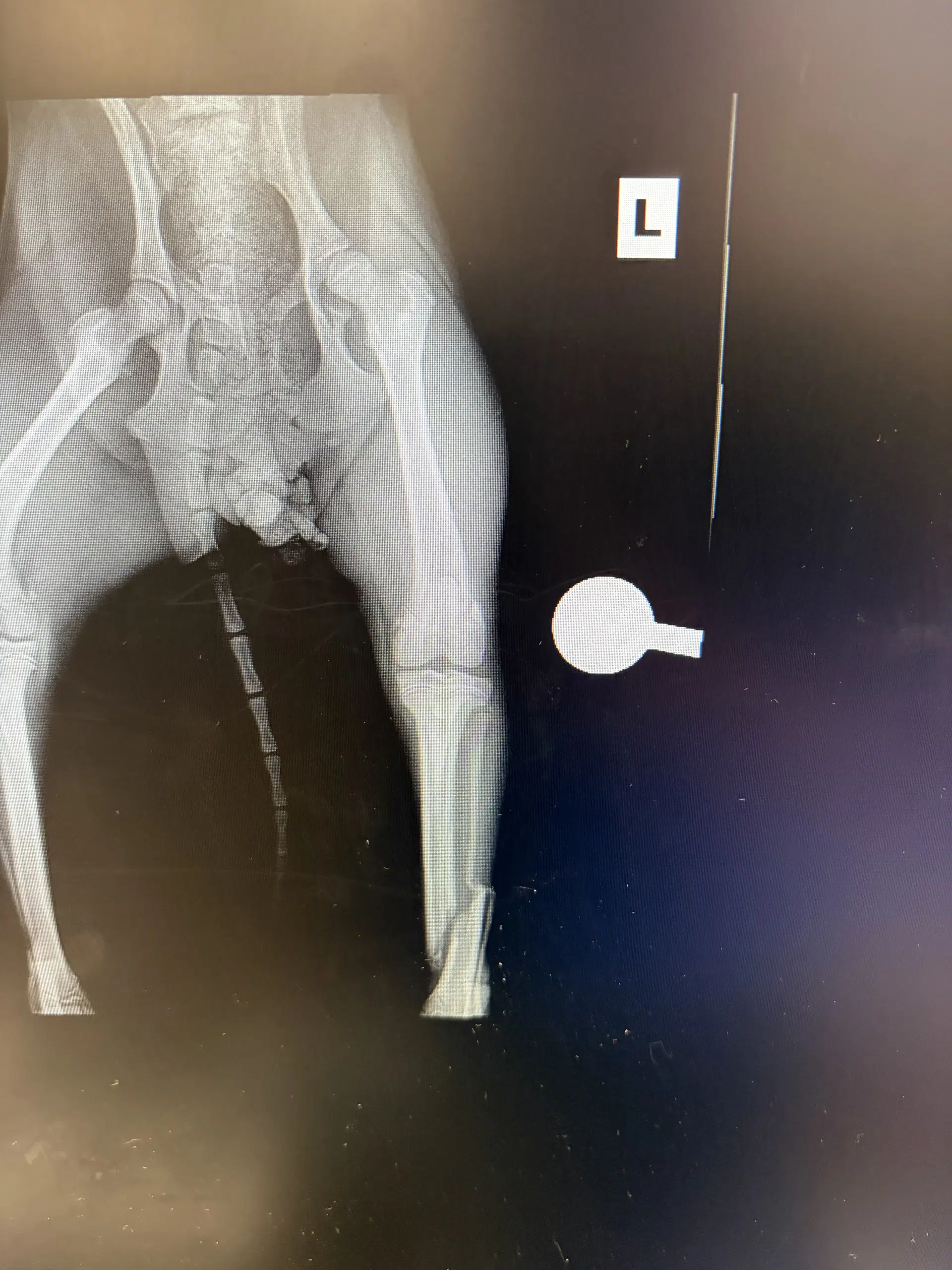 Milo image 2