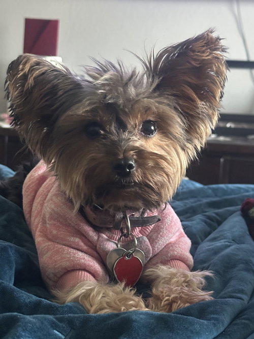 Ellie Mae photo 2