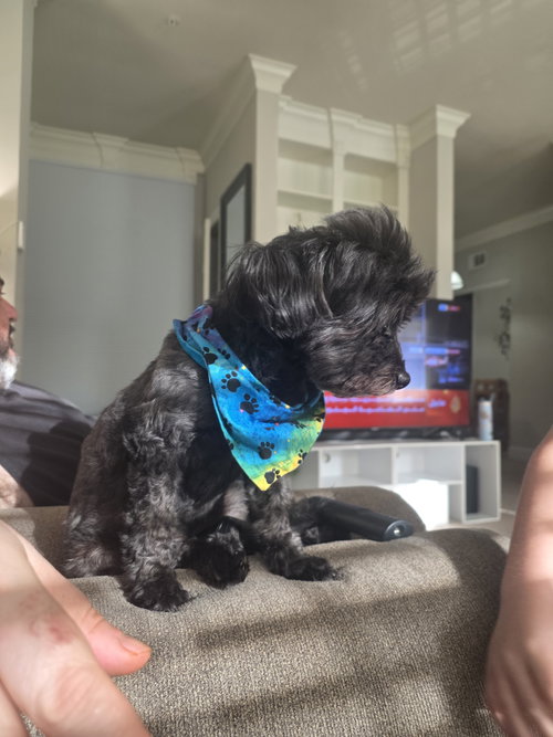 Baby photo 2