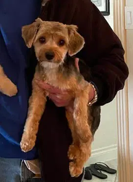 Jumper image 1